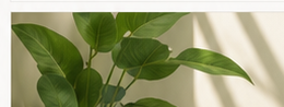 Lower-Emission Materials and Thoughtful Design